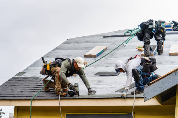 Professional Gutter Installation technician working in Hitchcock, TX